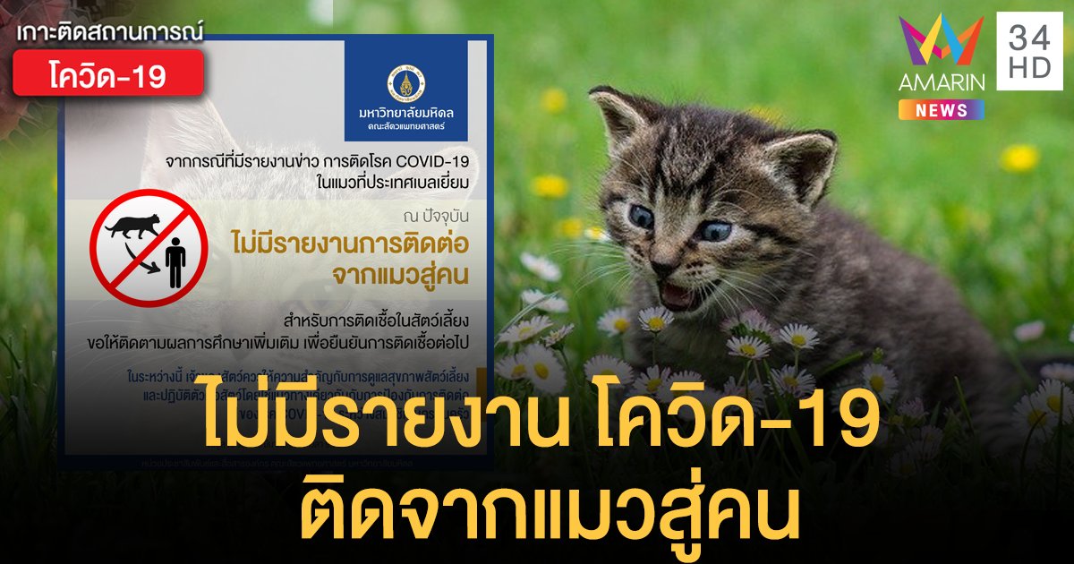ยืนยัน! ยังไม่มีรายงาน "โควิด-19" จากสัตว์เลี้ยงสู่คน