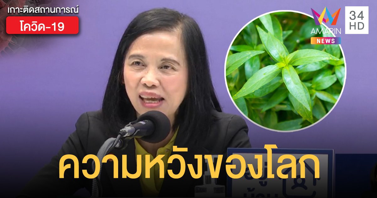 ผลวิจัยพบ "ฟ้าทะลายโจร" ฆ่าไวรัสโควิดได้
