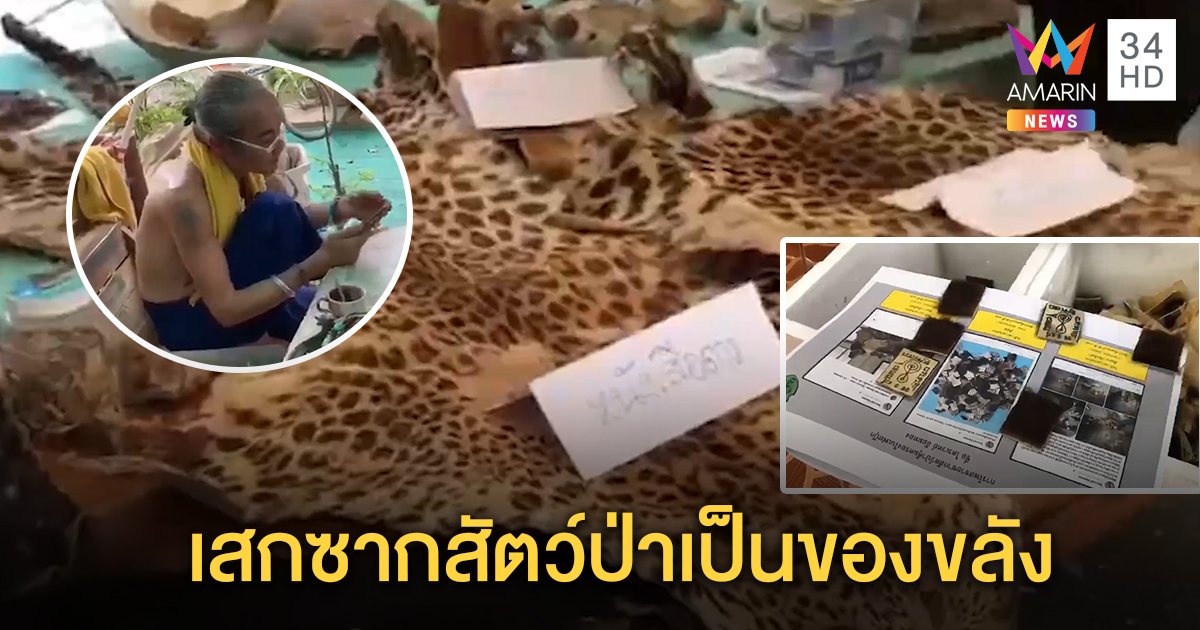 อาศรมจอมขมังเวทย์ซุกซากสัตว์ป่าอื้อ คนในปิดปาก ชาวบ้านคาดเป็นของลูกศิษย์ไว้ให้ปลุกเสก (คลิป)