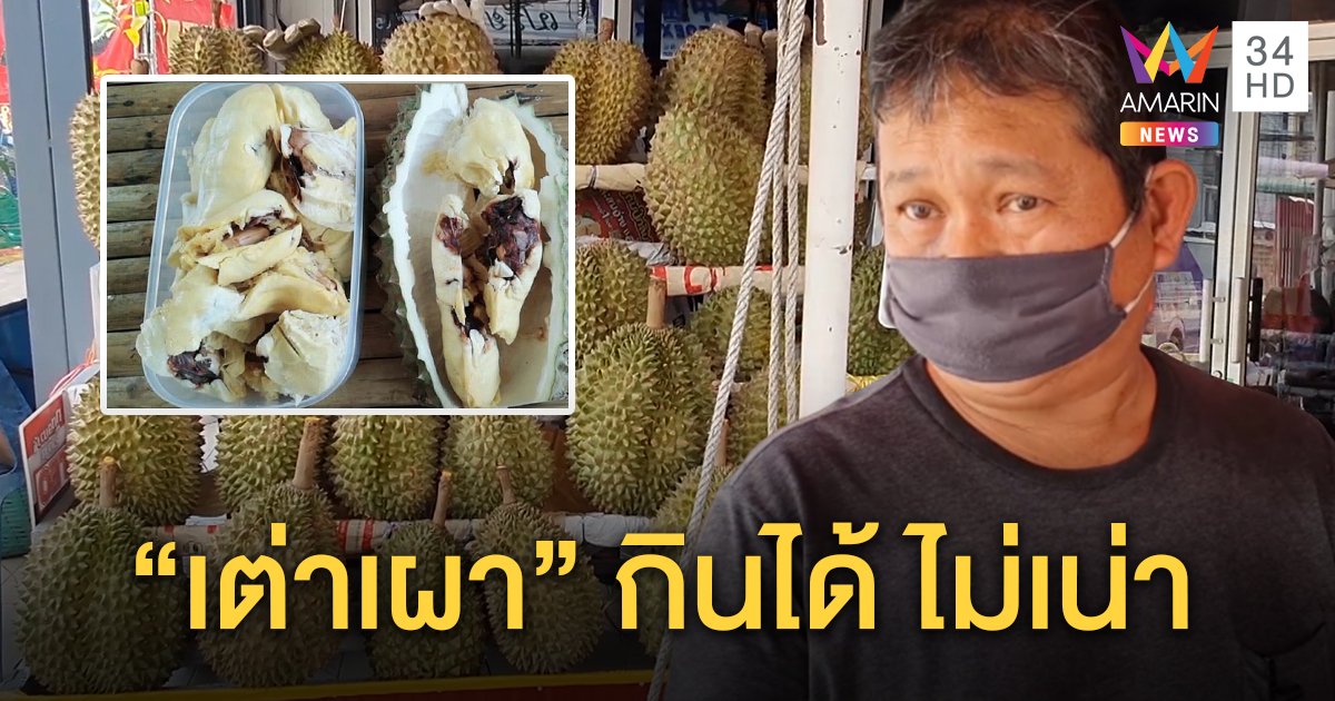 พ่อค้าโต้ดราม่าขายทุเรียนเน่า ท้าคืนทั้งลูก ยันเนื้อดำเรียก “เต่าเผา” กินได้ ฉะคนซื้อเจตนาไม่ดี (คลิป)