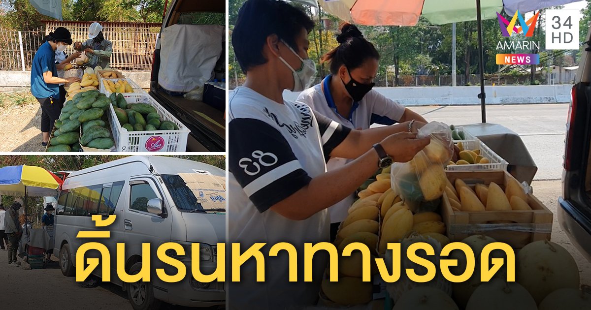 ชีวิตต้องสู้ คนขับรถตู้เจอพิษโควิด ถูกยกเลิกงานทั้งปี เปิดท้ายขายมะม่วงหาเงินผ่อนรถ