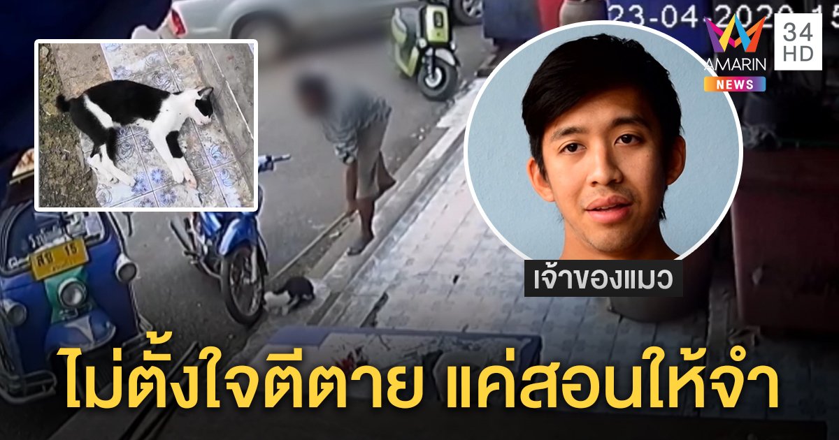 สุดโหด! ชายตีแมวตายทุรน อ้างแค้นข่วนเบาะรถหวังสั่งสอนให้จำ พลเมืองดีสลดชักตายต่อหน้า (คลิป)