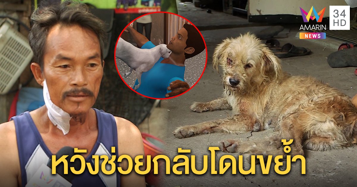 ชายเล่านาทีเข้าช่วยหมาถูกไก่จิกตา กลับเจอขย้ำคอสาหัส เผยจำฝังใจ (คลิป)