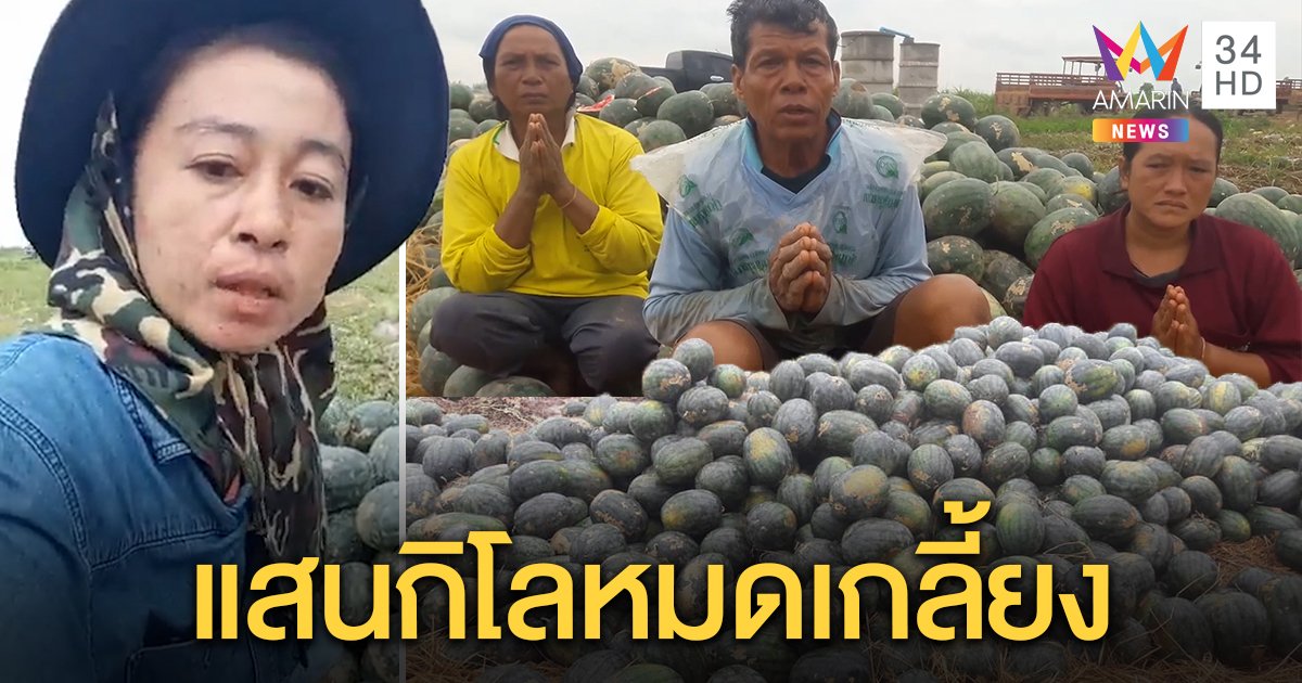 ตาจันทร์ซึ้งใจ “เจ๊แหวน” ไลฟ์ช่วยขายแตงโมแสนกิโลเกลี้ยงในวันเดียว ขอบคุณคนไทยช่วยซื้อ (คลิป)