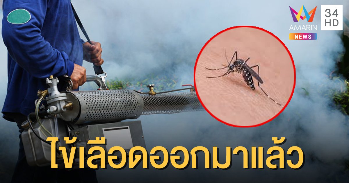 แพทย์เตือน! เตรียมรับมือ "ไข้เลือดออก" ป่วยแล้วเกือบ 9,000 ดับ 6