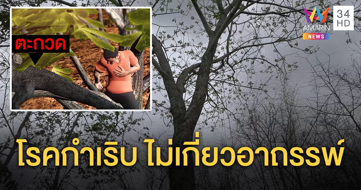 ลุงไล่จับตะกวดช็อกตายคาต้นไม้ ชาวบ้านเชื่อเจออาถรรพ์กิ่งสามนาง ญาติโต้แค่โรคกำเริบ (คลิป)