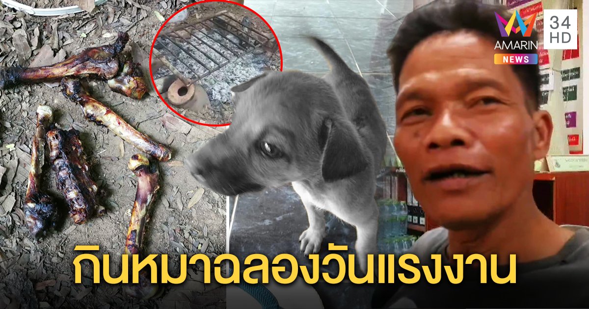 หนุ่มขี้เมาจับหมาเพื่อนบ้านไปกินถูกจับยังไม่สลด อวดย่างแกล้มเหล้ารสแซ่บ ฉลองวันแรงงาน (คลิป)