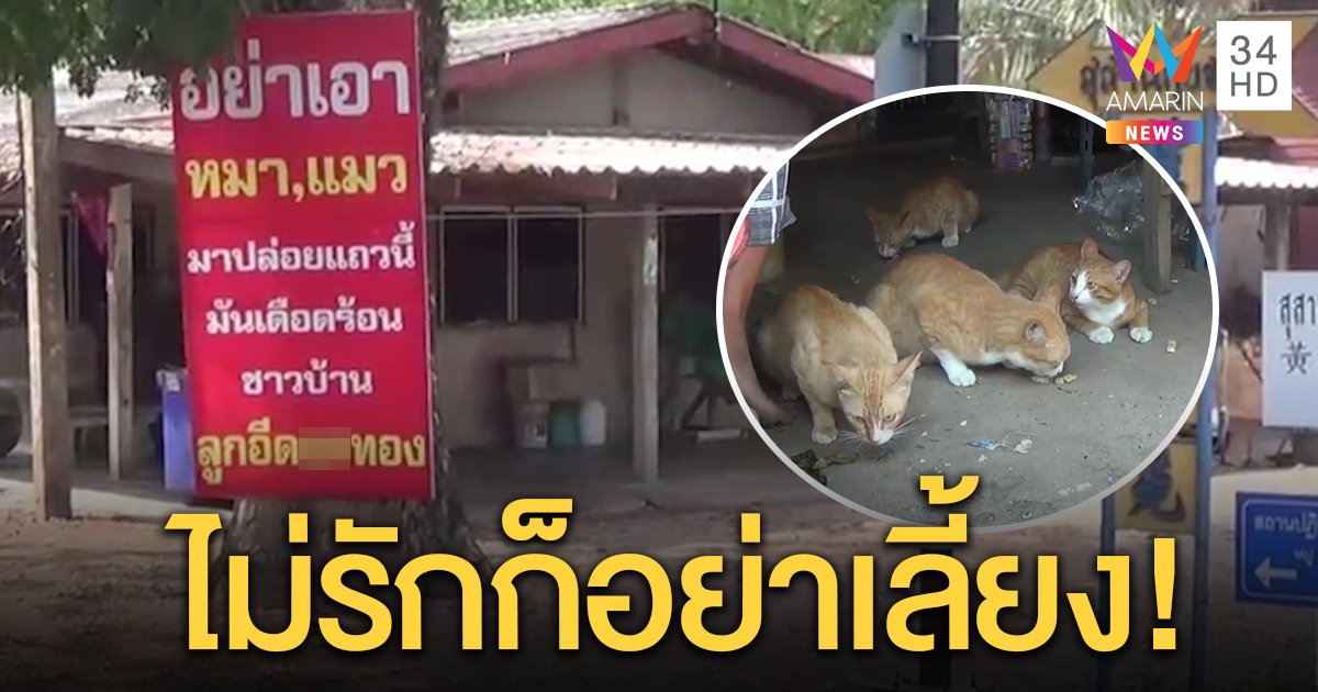 ชาวบ้านสุดทน เขียนป้ายด่าแรงพวกทิ้งหมาแมว ต้องเลี้ยง 70 ตัว พ่อวัย 85 สละเงินคนแก่ซื้ออาหาร