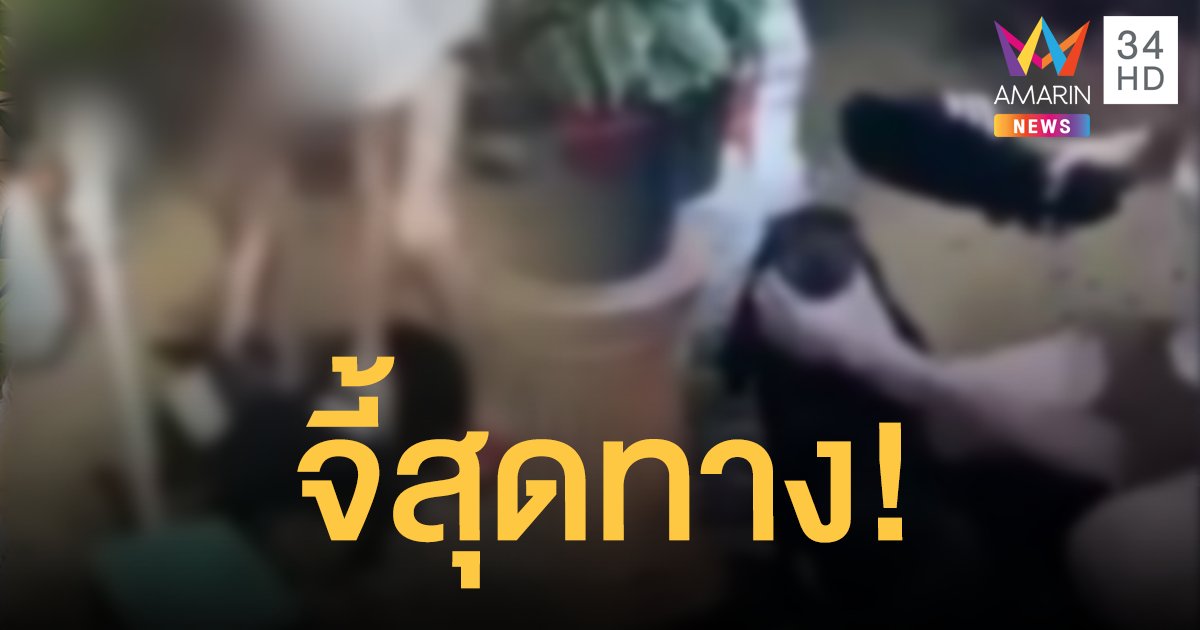 มูลนิธิวอชด็อก ร้องศาลฯสั่ง #กะเทยตีหมา เป็นบุคคลสิ้นศักยภาพการเลี้ยงสัตว์