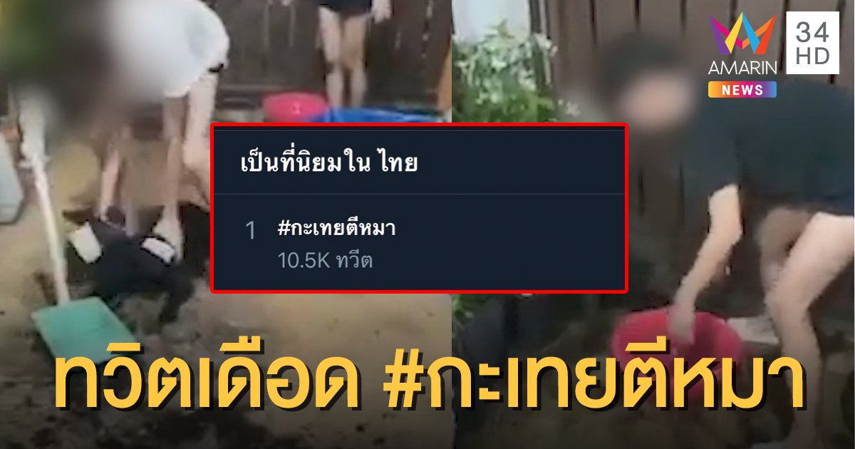 ชาวทวิตภพสาปส่ง! แห่ติดแฮชแท็ก #กะเทยตีหมา ขึ้นอันดับ 1 เทรนด์ทวิตเตอร์ไทย