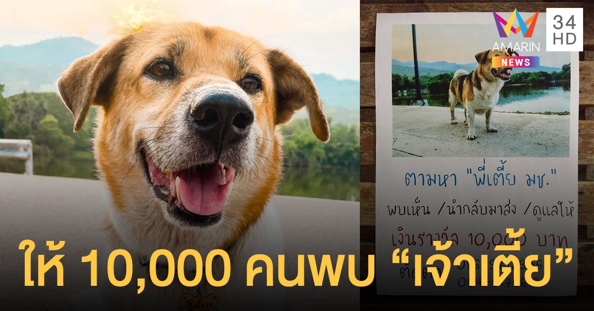 "เตี้ย มช." อยู่ไหน? เปิดเบาะแสสุดท้ายก่อนหายตัวลึกลับ