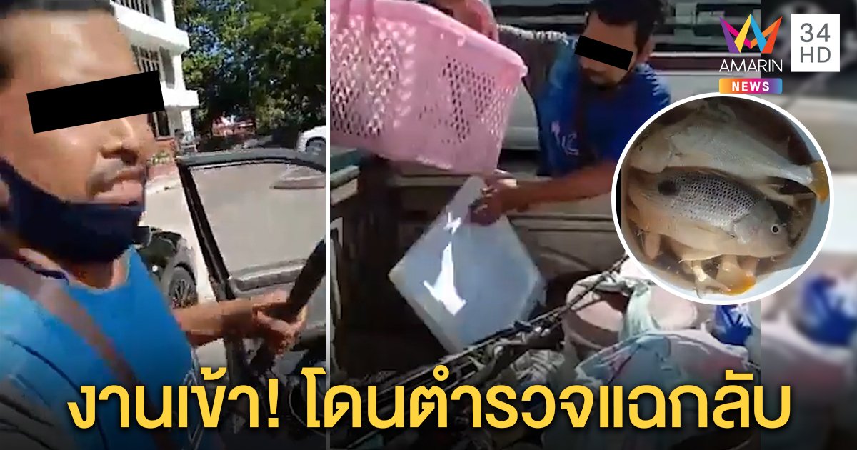 ส่อเงิบ! หนุ่มนอนริมทะเล อ้างตกปลากลับไม่ทันเคอร์ฟิว ที่แท้ถูกจับคาด่าน (คลิป)