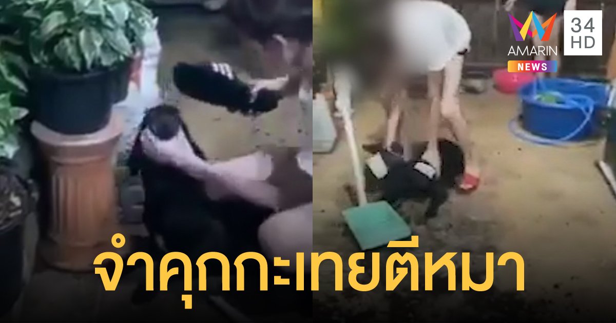 ศาลสั่งจำคุก 6 เดือน "กะเทยตีหมา" และให้สิ้นสภาพการเลี้ยงดูสัตว์