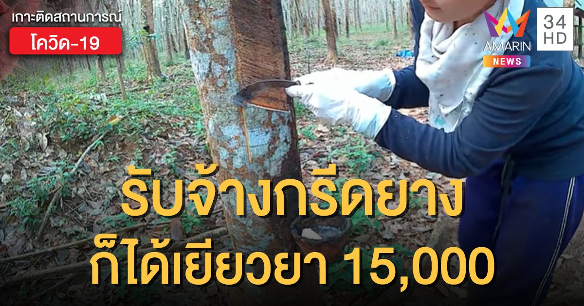 เช็กเลย! "เกษตรกรรับจ้าง" ก็มีสิทธิรับเงินเยียวยา 15,000