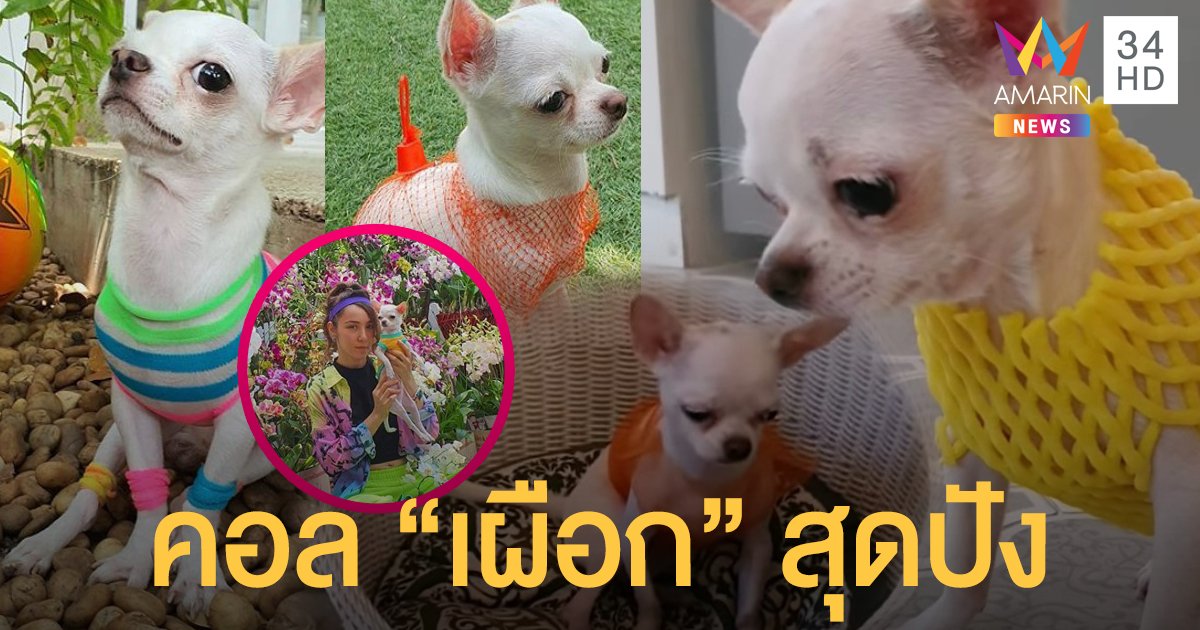 สายแฟตัวจริง! "เผือก" กับชุดที่ตัดเย็บ และออกแบบโดย "ปาล์มมี่"