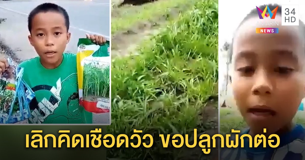 “น้องฟารุส” เปิดใจไลฟ์ฉะวัวกินผักบุ้ง เจ้าของโร่รับผิด ซึ้งใจคนส่งเมล็ดพันธุ์ให้ปลูกใหม่ (คลิป)