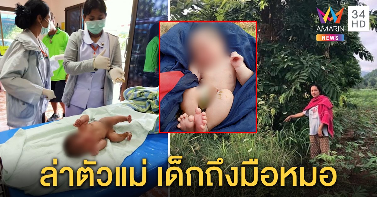 พบทารกทิ้งพงหญ้า ตัวขาวจ้ำม่ำถูกมดรุมกัด สืบจากเสื้อล่าแม่มือทิ้ง คนแห่โทรขอเป็นลูก