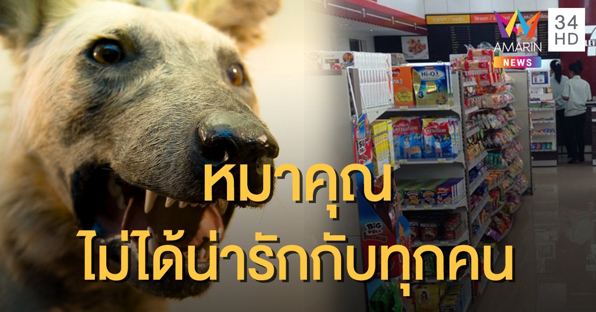 เพจดังเปิดเหตุผล 3 ข้อ ที่ไม่ควรนำ "หมา" เข้าร้านสะดวกซื้อ