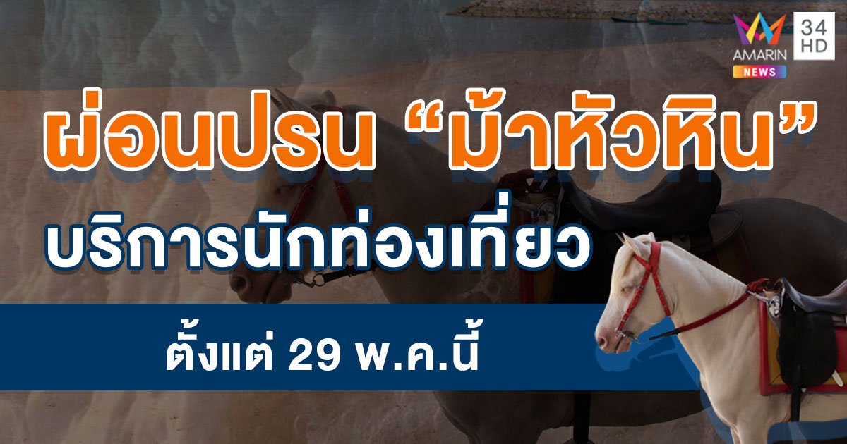 ปศุสัตว์ประจวบฯ จ่อผ่อนปรน "ม้าหัวหิน" กลับมาให้บริการ 29 พ.ค.นี้