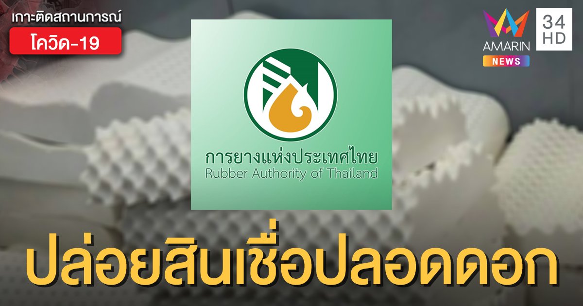 กยท.ปล่อยสินเชื่อปลอดดอกเบี้ย หนุนเกษตรกรกลุ่มหมอนยางพารา สู้โควิด-19