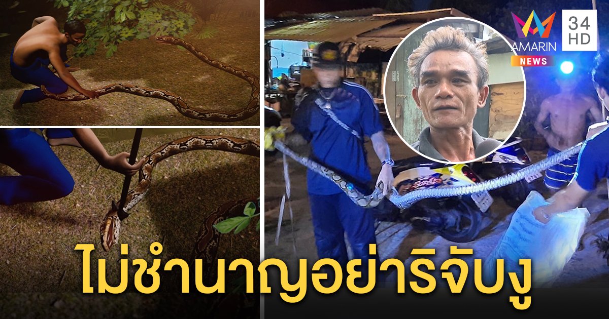 ลุงฟัดงูเหลือม 4 เมตร สู้แรงไม่ไหวถูกลากลงน้ำ เฮือกสุดท้ายคว้าฉมวกปักแน่นิ่ง (คลิป)