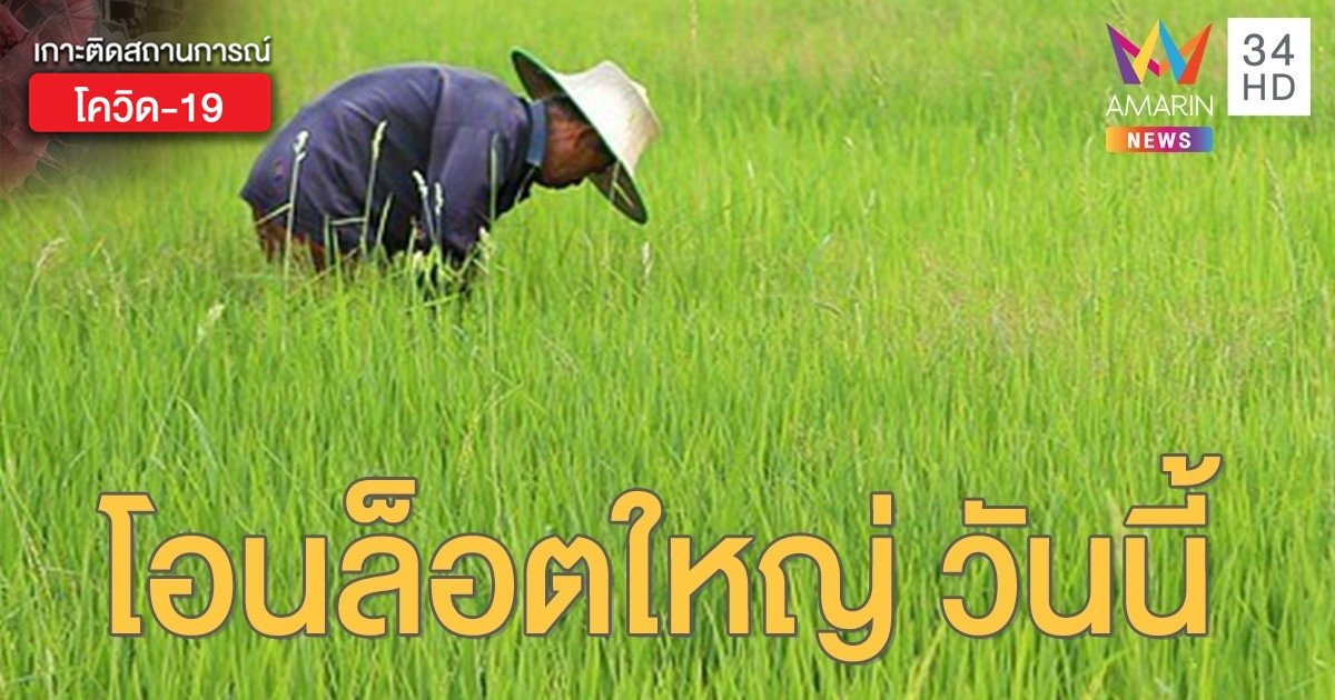 ตรวจสอบผลการโอนเงิน "เยียวยาเกษตรกร" ธ.ก.ส.โอนล็อตใหญ่ วันนี้ 2 มิ.ย. 63