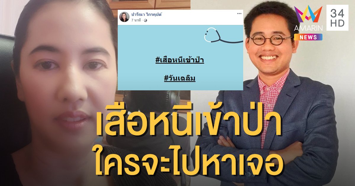 "ปารีณา" เปรียบ "วันเฉลิม" หายตัว เหมือนเสือหนีเข้าป่า