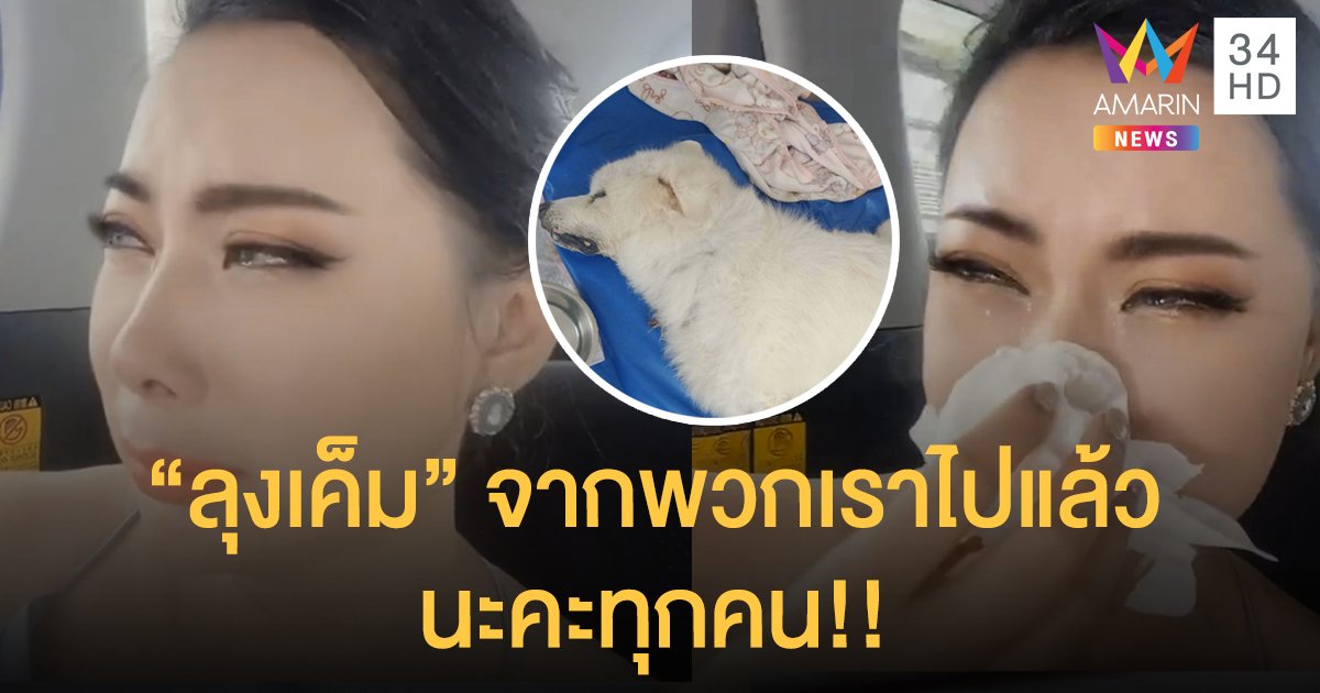 บีบหัวใจ “บุ๋ม ปนัดดา” เศร้า “ลุงเค็ม” สุนัขสุดที่รักจากไป!!