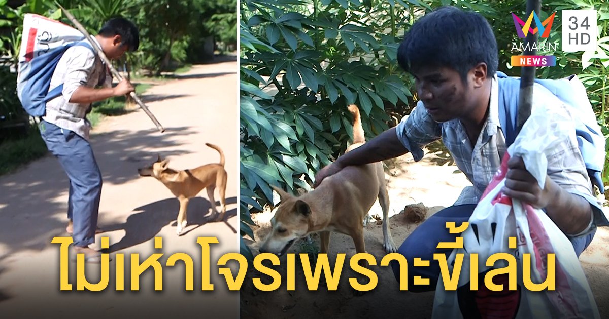 เจอความจริง! หมาไม่เห่าคนร้ายอุ้มชมพู่ไม่ใช่เพราะเป็นญาติ แต่มันเป็นมิตร (คลิป)