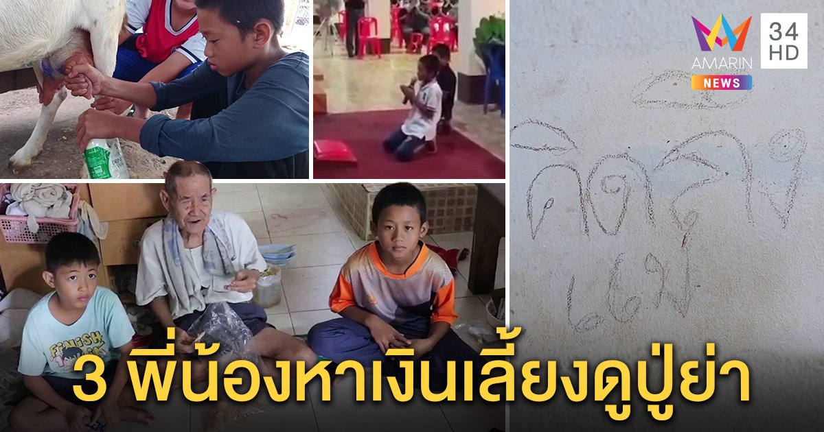 3 พี่น้องยอดกตัญญู ถูกพ่อแม่ทิ้งยังเลี้ยงดูปู่ตาบอด ย่าป่วยติดเตียง ยอมรับจ้างไม่เลือกงาน (คลิป)
