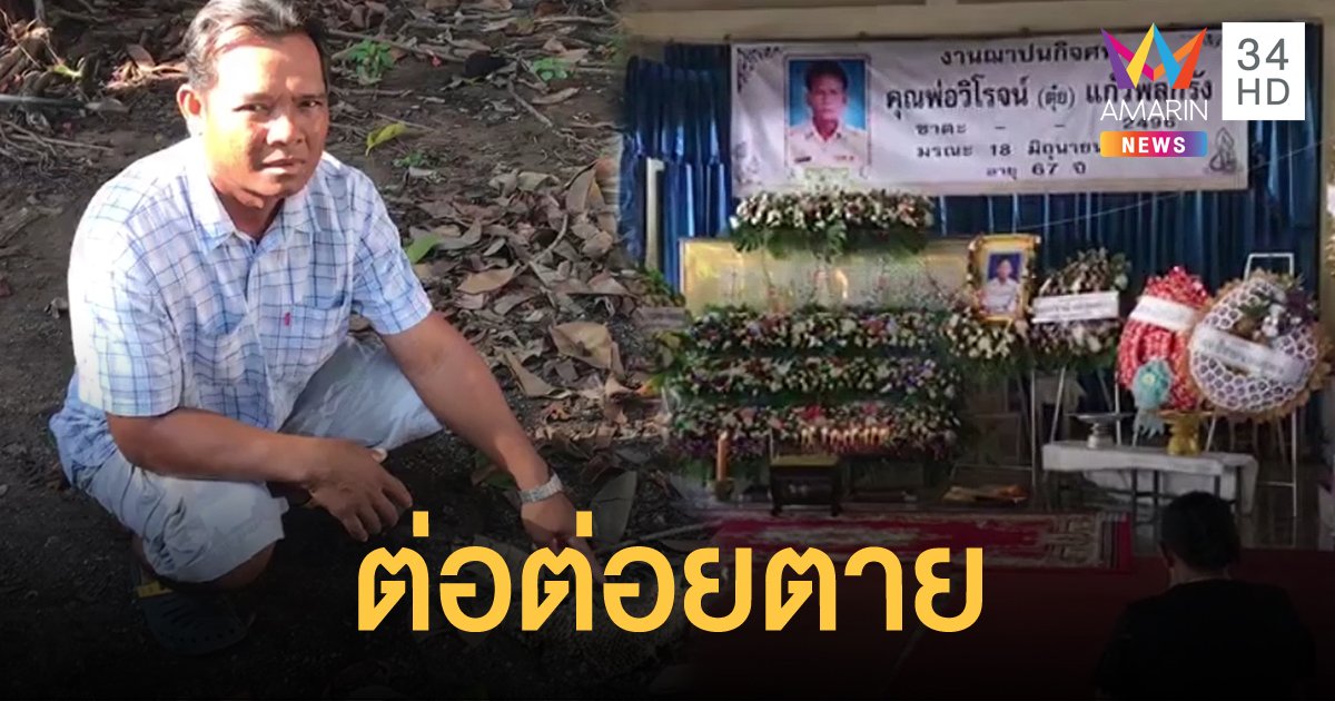 ตานอนใต้ต้นไม้ ถูกรังต่อร่วงใส่โดนต่อย ทนพิษไม่ไหวจนเสียชีวิต