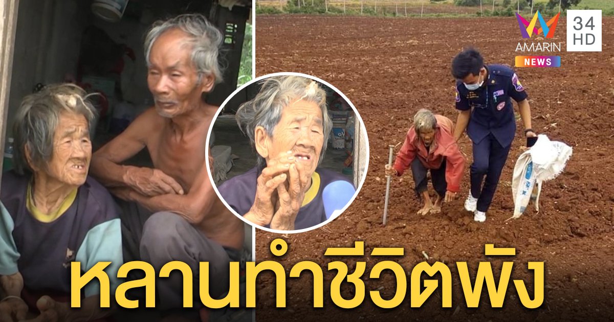 สุดสลด! ยาย 85 เก็บผักชาวบ้านขายประทังชีวิต แฉลูกไม่เหลียวแลช้ำหลานโกงที่ทำไร้บ้าน (คลิป)