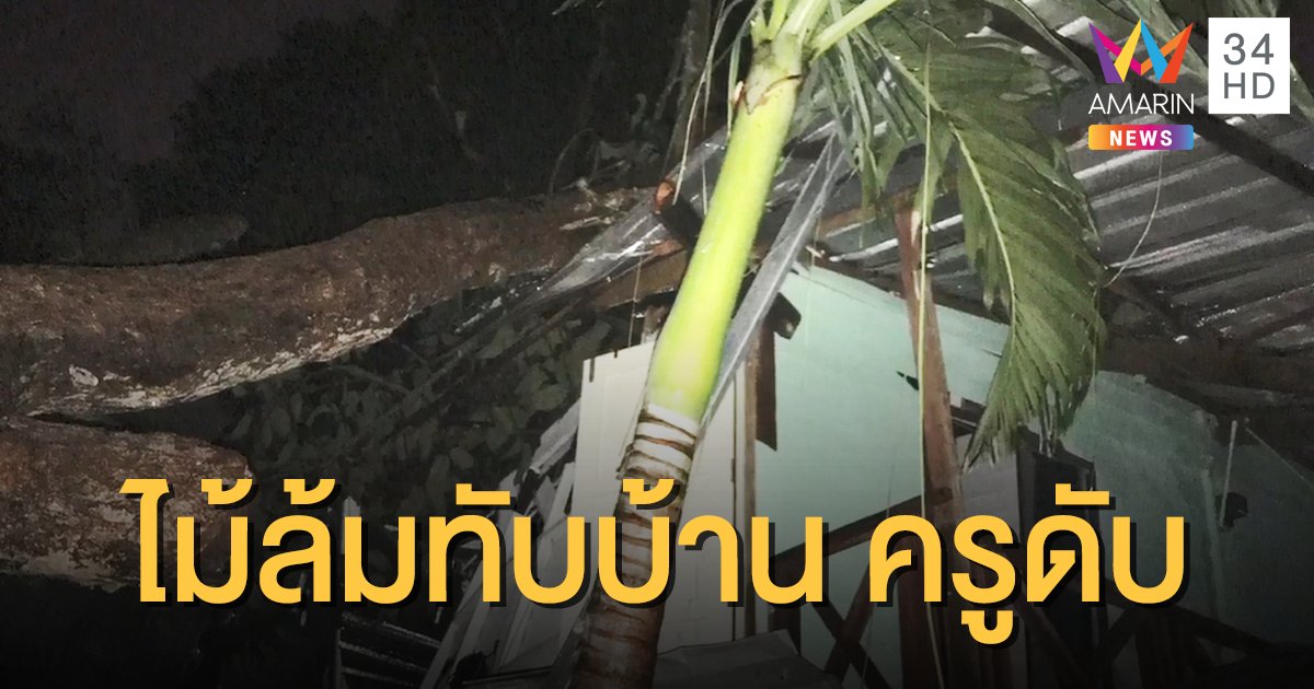 ฝนตกหนักลมกรรโชกแรง ต้นไม้ใหญ่ล้มใส่บ้านพัก ทับร่างครูดับ