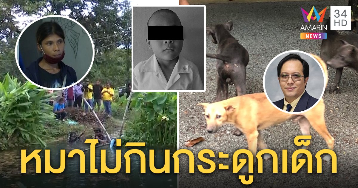 ระดมหาท่อนล่าง "น้องกานต์" อาเผยฉี่รดที่นอนเลยนอนเต็นท์ หมอยันหมาไม่กินกระดูกเด็ก (คลิป)