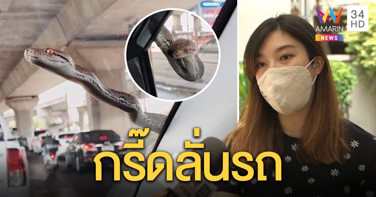 สาวเล่านาทีจ๊ะเอ๋ลูกงูเหลือมโผล่ฝากระโปรงรถ ทึ่งใช้หางเกี่ยวกระจก เชื่อหาที่อุ่น ๆ อยู่ (คลิป)