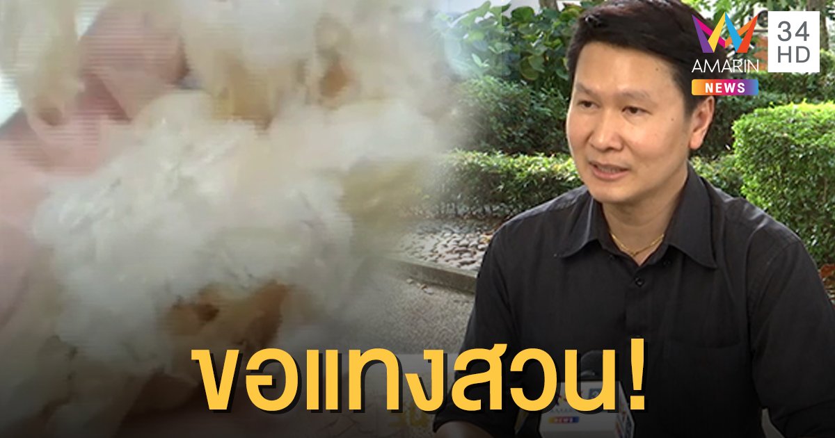 "อ.เจษฎ์" ขอแทงสวน ชี้ "แมงกะพรุน" เหมือนของจริงมาก ถ้าปลอมคงแพง