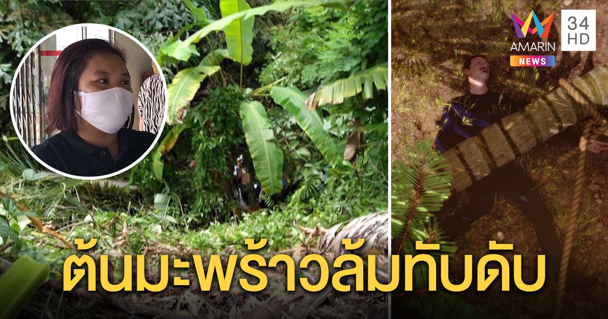 พ่อลูก 2 เจอพิษโควิดตกงานรับจ้างตัดต้นมะพร้าว พลาดถูกทับดับคาเหว เมียสุดเคว้ง (คลิป)