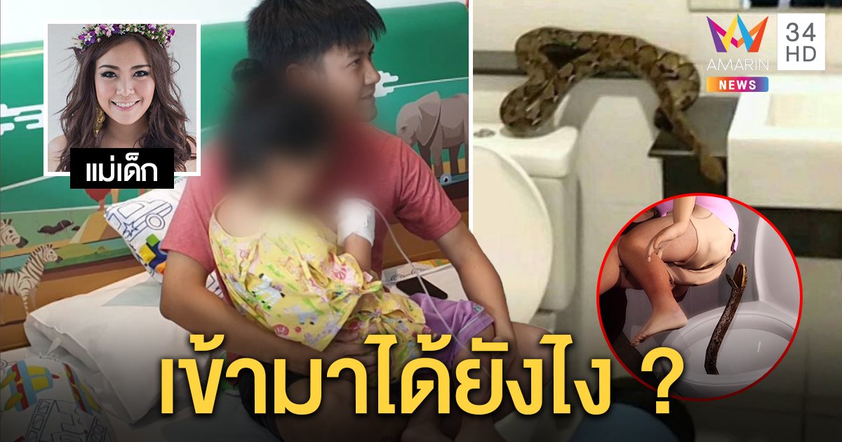 สาวช็อกไอ้เหลือมซุกส้วมคอนโดโผล่ฉกก้นลูก 4 ขวบ พ่อเสี่ยงชีพดูดพิษ เผยเด็กยังผวา (คลิป)