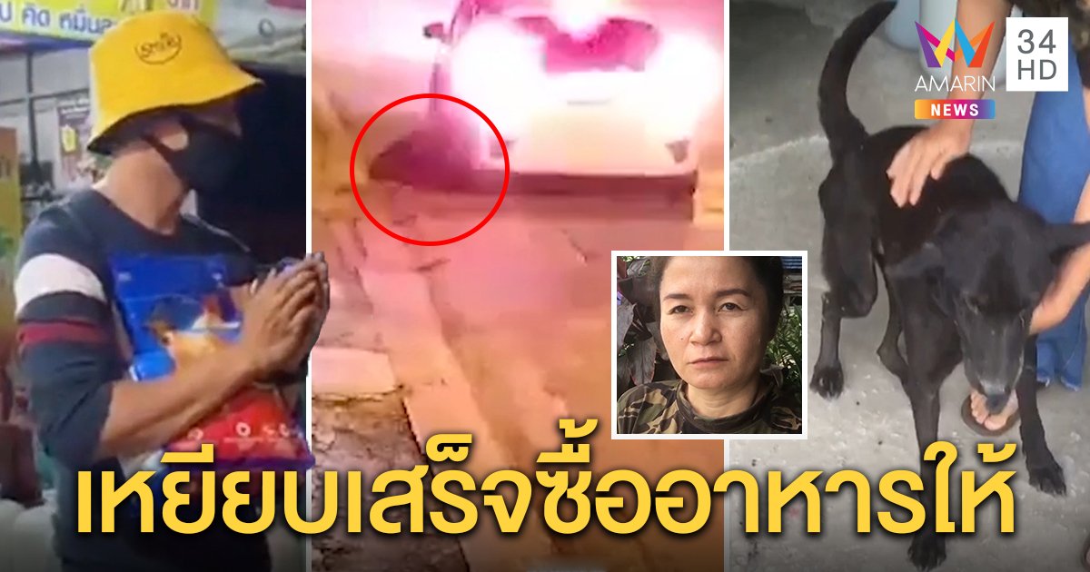 เก๋งถอยเหยียบหมาพิการ อ้างรถเตี้ยมองไม่เห็น เจ้าของรับโกรธแต่ให้อภัย (คลิป)