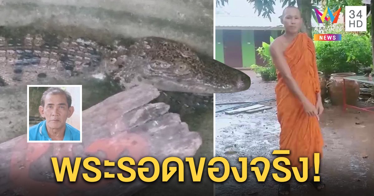 ระทึก! หลวงพี่เจอจระเข้ไล่งับ เจ้าของเผยเลี้ยงไว้ดูเล่น คาดหลุดเพราะฝนตก (คลิป)
