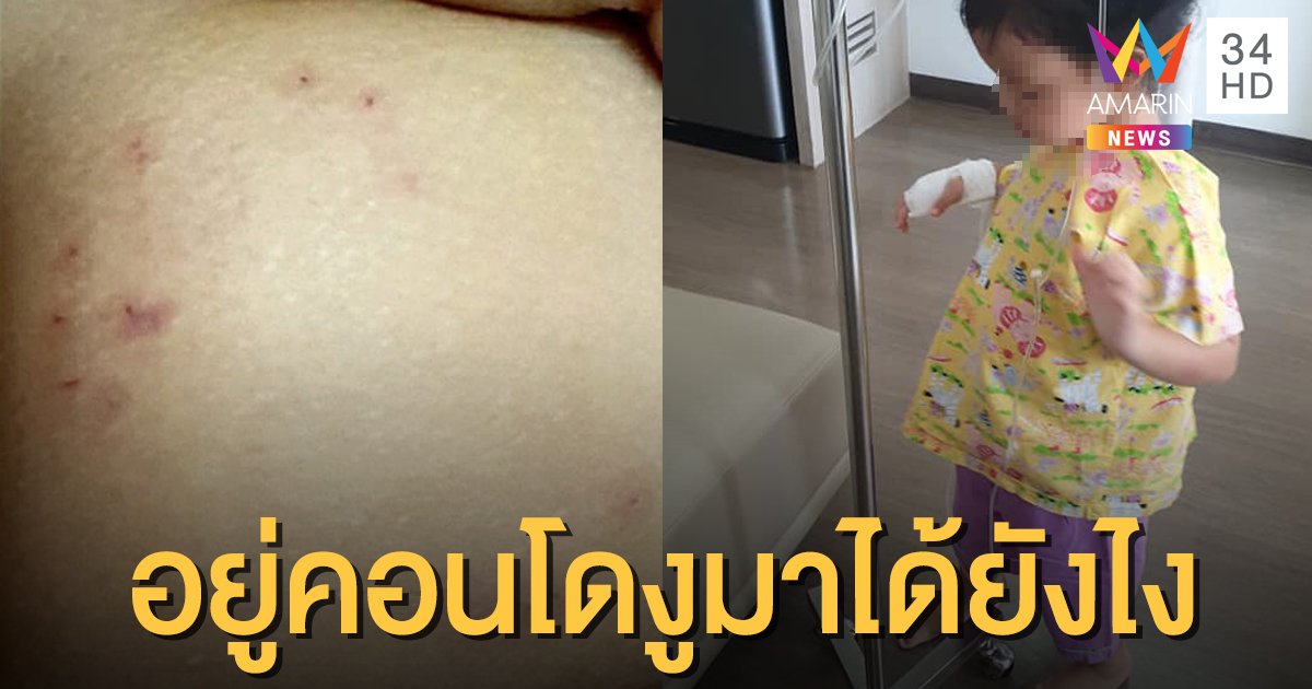 แม่กรี๊ดลั่น! งูเหลือมซุกโถส้วมในคอนโด โผล่งับก้นลูก