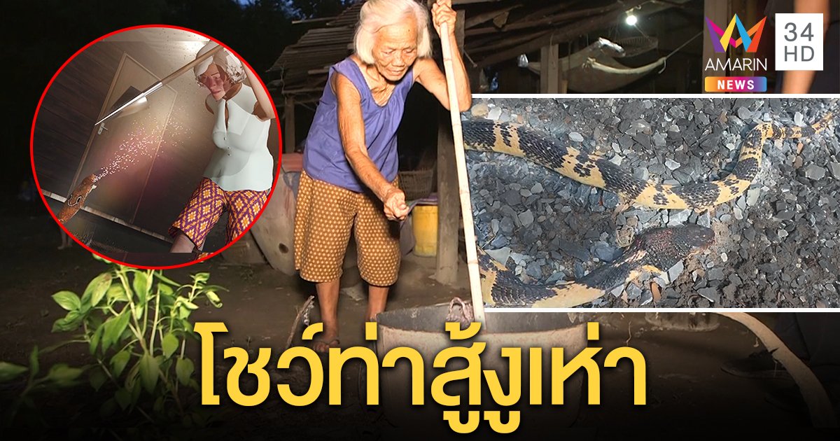 ยายใจเด็ด! เจองูเห่ากินแมวคว้าฉมวกแทงโดนพ่นพิษใส่ตา หมอแนะน้ำเกลือล้างพิษได้ (คลิป)