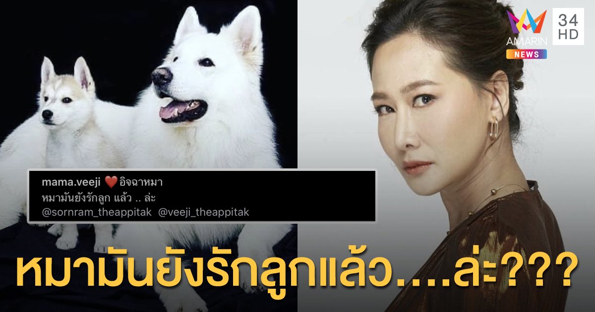  “ติ๊ก” เคลื่อนไหวโพสต์ข้อความ... หมามันยังรักลูก แล้ว .. ล่ะ!!!