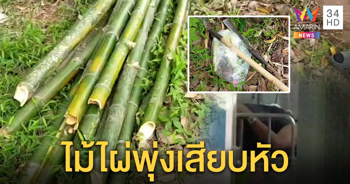 เผยอุทาหรณ์หนุ่มใหญ่ตัดไผ่ส่งแม่ค้าทำไม้ไก่ย่าง จังหวะตัดลำไผ่พุ่งแสกหน้าแทงหัวหวิดดับ