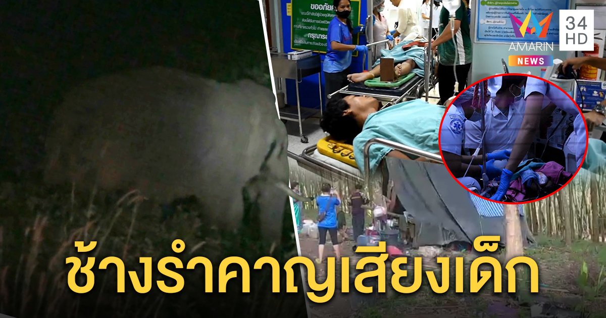 ระทึก! ช้างป่าพังเต็นท์งวงฟาดเด็ก 1 เดือนปางตาย เพื่อนเชื่อเสียงเด็กร้องทำตกมัน (คลิป)
