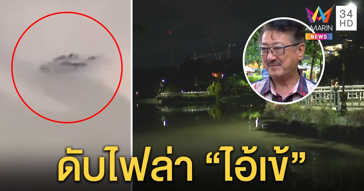 เปิดปฏิบัติการล่าไอ้เข้โผล่ศาลากลางเมืองนนท์ งัด “ไฟฉาย - ตาข่าย” พร้อมรวบยันเช้า (คลิป)