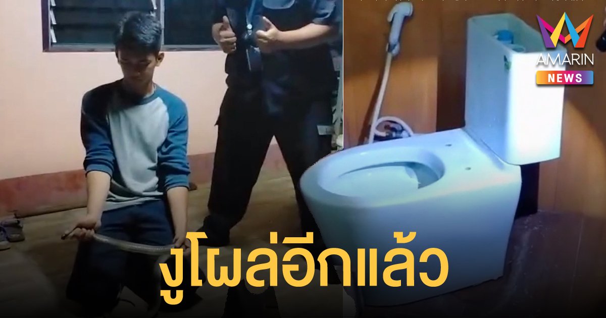 เจออีกแล้ว! งูเห่าโผล่ชักโครก โชคดีเจ้าของบ้านเห็นก่อนจึงไม่โดนกัด