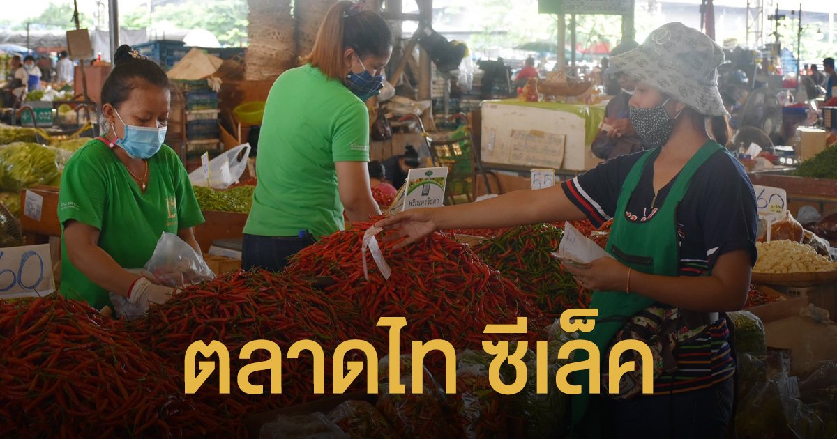 "ตลาดไท ซีเล็ค" ดันสมุนไพรสด-เครื่องเทศสด เข้าระบบตลาดกลาง