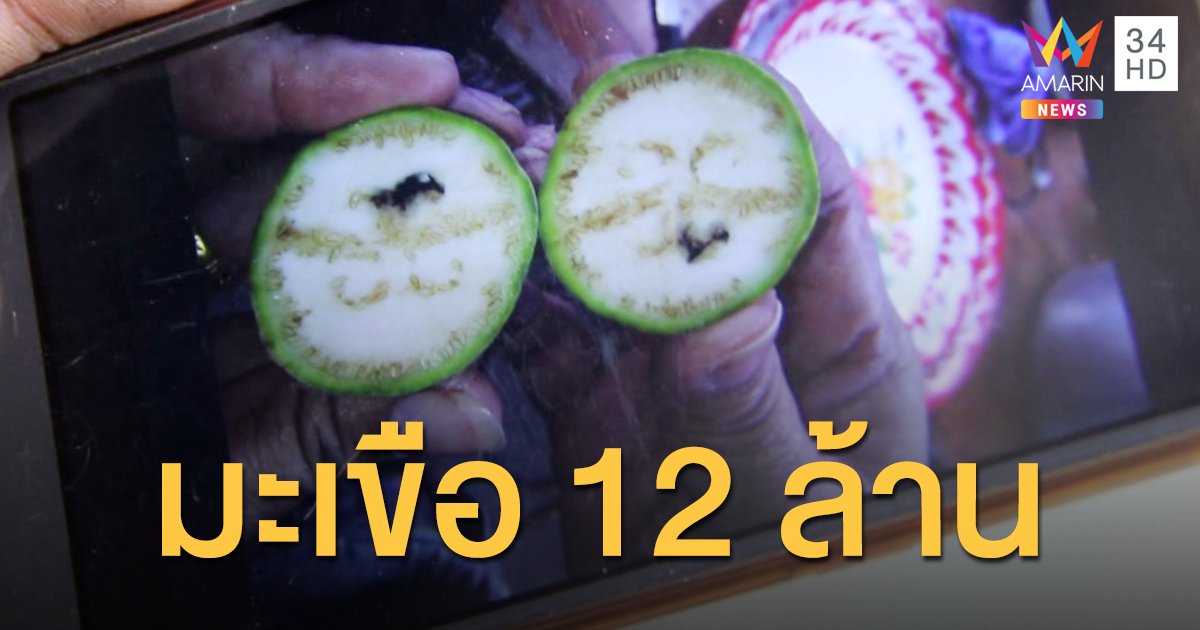 ซุกมะเขือใต้โลงศพ ผ่าออกได้เลข นำไปซื้อลอตเตอรี่ถูกรางวัลที่ 1