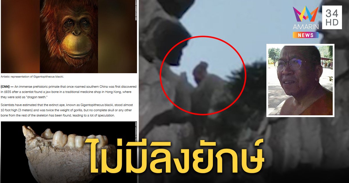 โผล่แล้ว! ลิงยักษ์เขาหน่อ พระยันเรื่องจริง สื่อนอกชี้ลิง 3 เมตรเคยมีแต่สูญพันธุ์แล้ว (คลิป)